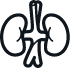 kidney care